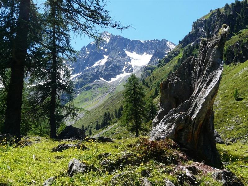 Pension Schoepf Arzl im Pitztal Eksteriør bilde